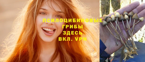 экстази Арсеньев
