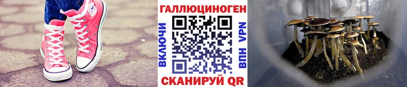 блэк спрут tor  Кондрово  Галлюциногенные грибы ЛСД 